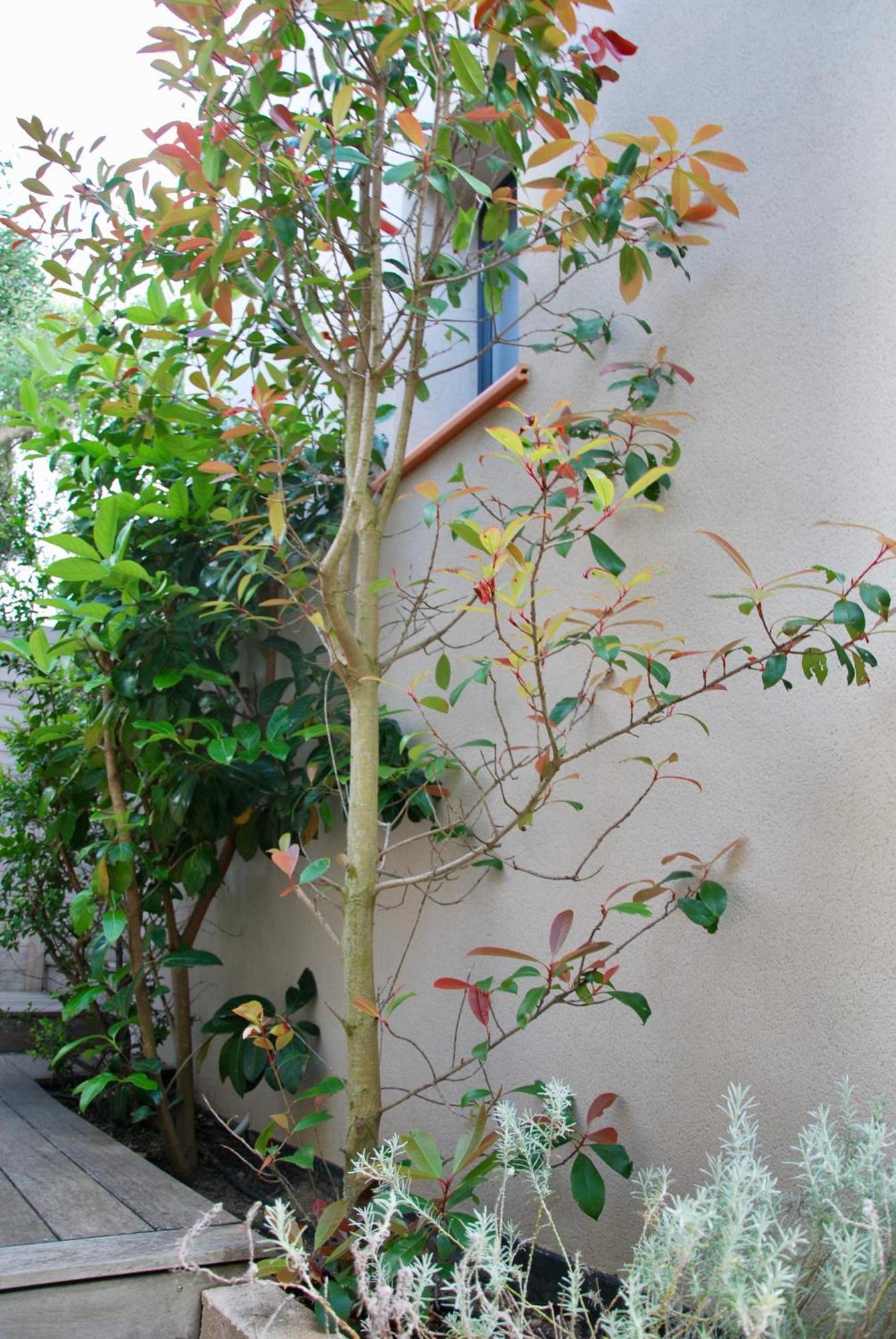 Villa Madra ボニファシオ エクステリア 写真