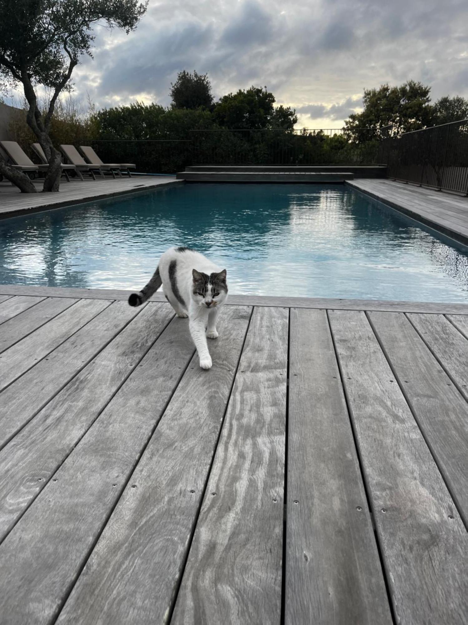 Villa Madra ボニファシオ エクステリア 写真
