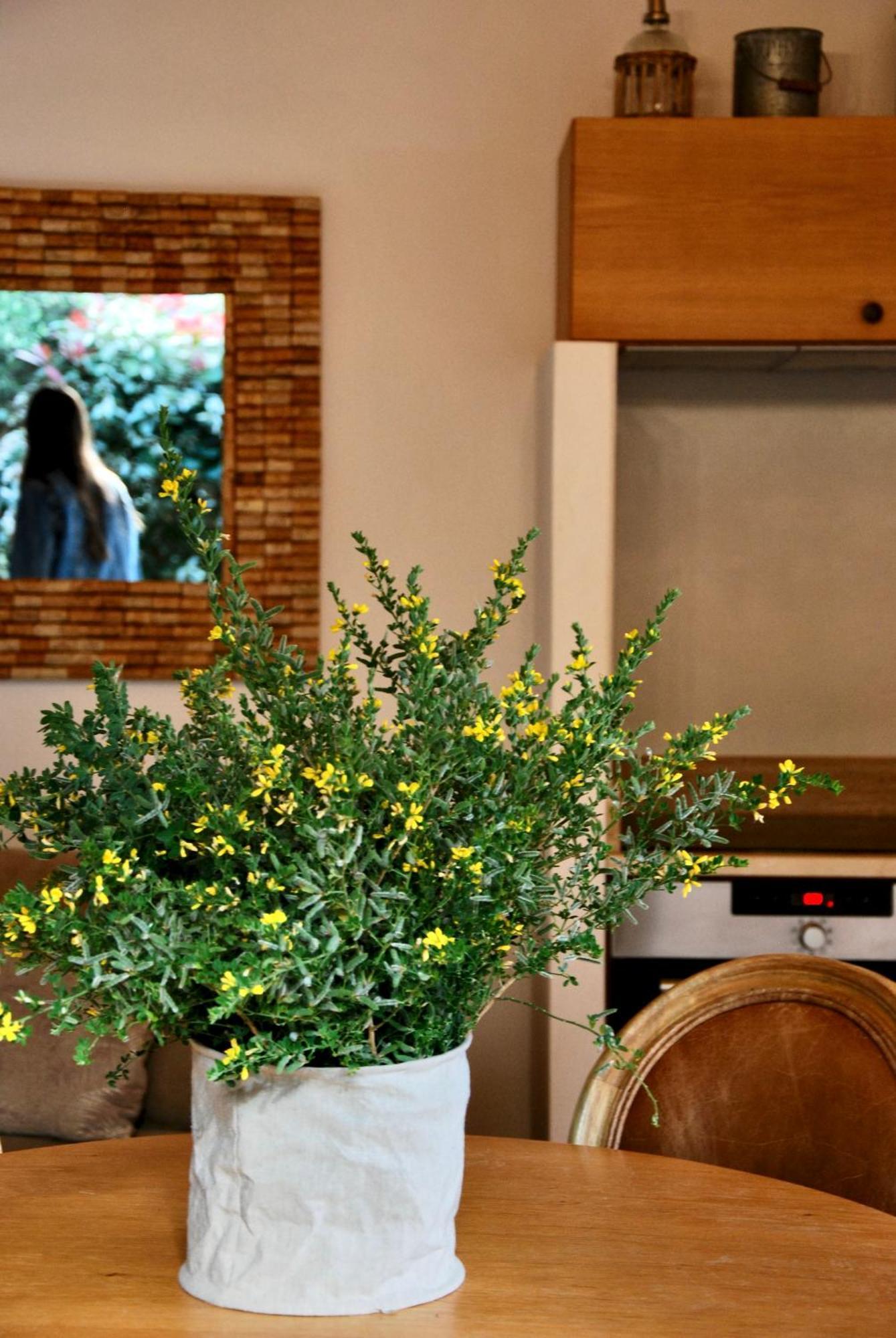 Villa Madra ボニファシオ エクステリア 写真